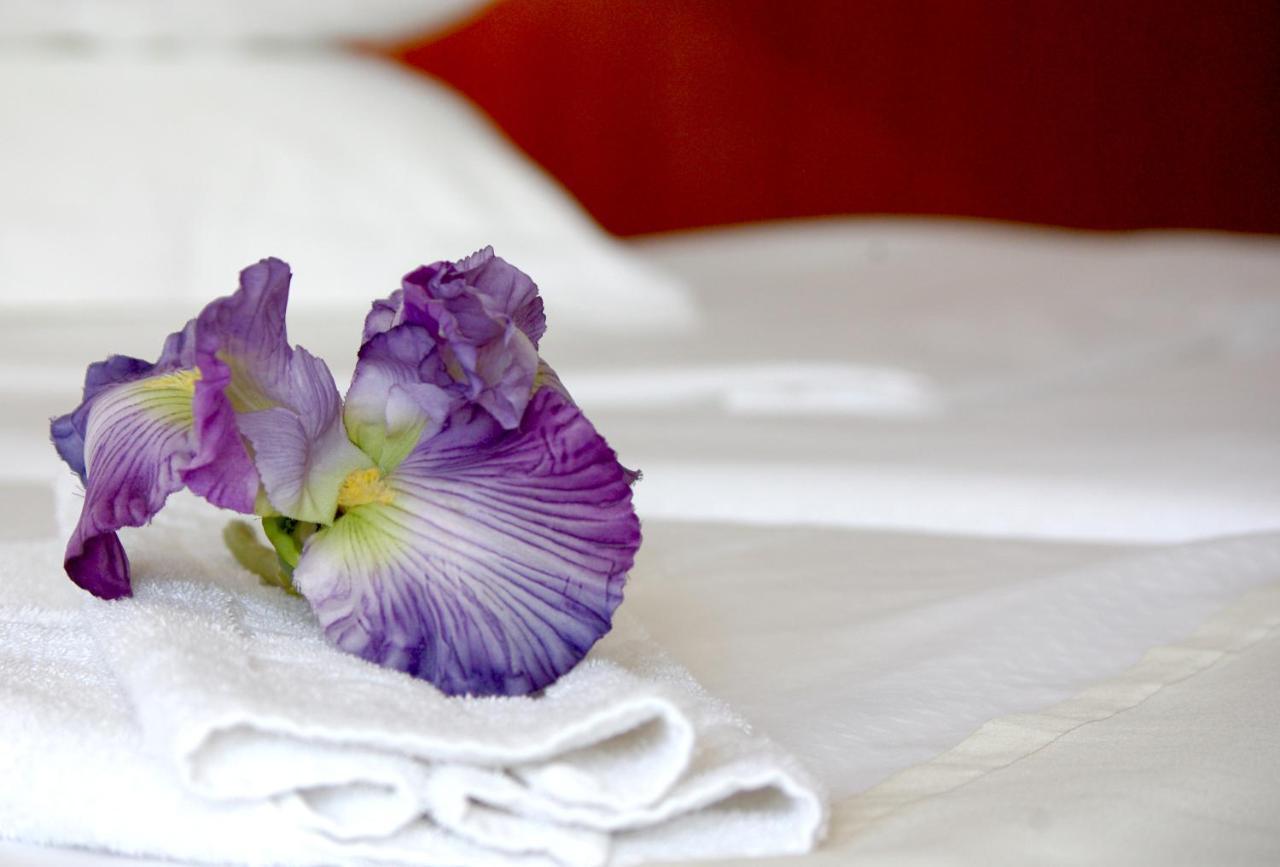 Bluesun Hotel Maestral Brela Bagian luar foto